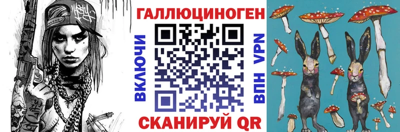 Галлюциногенные грибы Psilocybe  MEGA tor  Андреаполь 